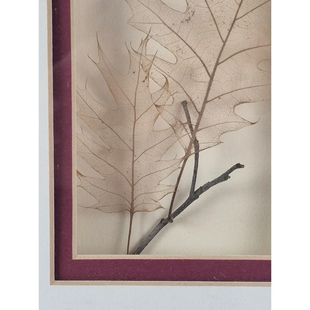 Vintage‎ Skeleton Leaf Art Burl Wood Look Frame Booker Morey 1994 Decor Oak Tree